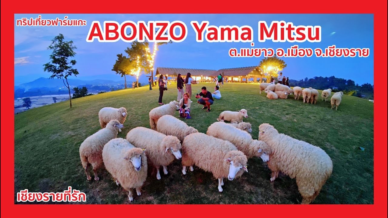 ทริปเที่ยวฟาร์มแกะABONZO Yama Mitsuต แม่ยาว อ เมือง จ เชียงราย