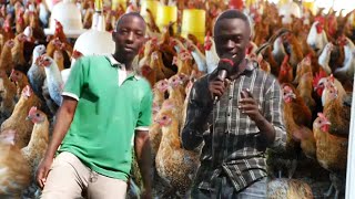 He Started With 5CHICKENS And Now Has 700CHICKENS||Success Story