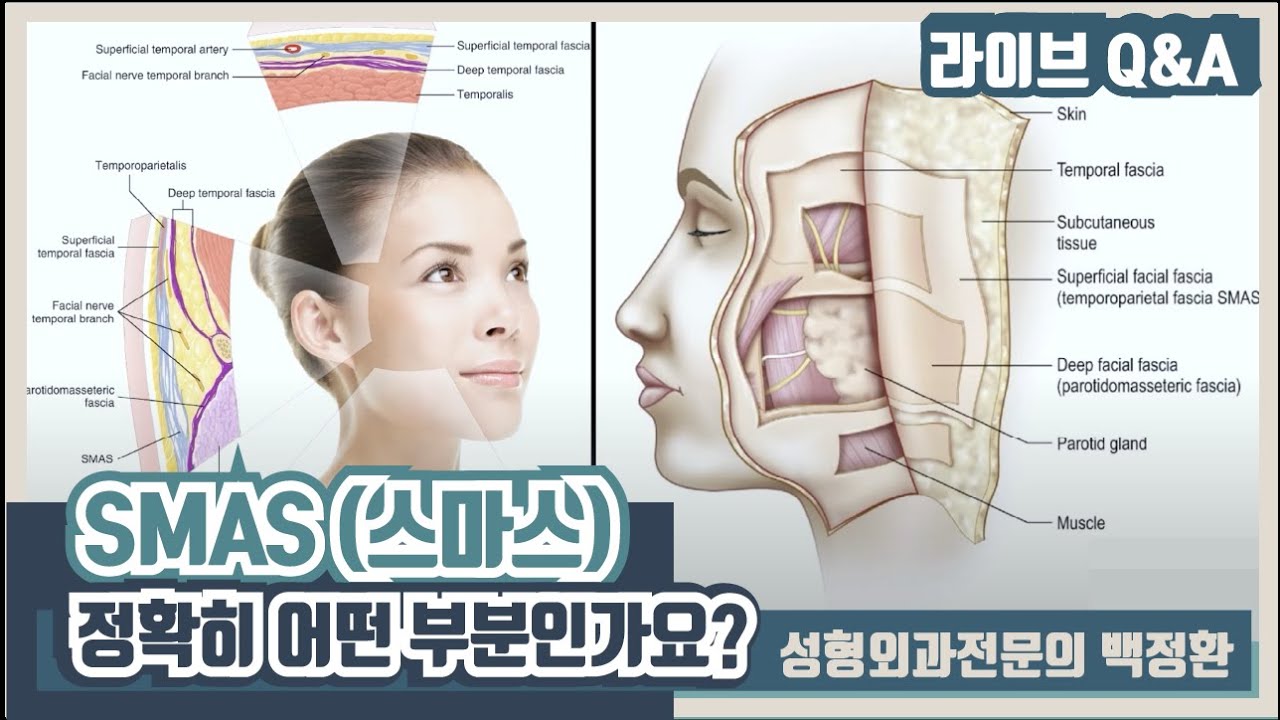 SMAS는 정확히 어떤 부분인가요? - YouTube