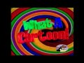 What A Cartoon Intros From All Cartoons 