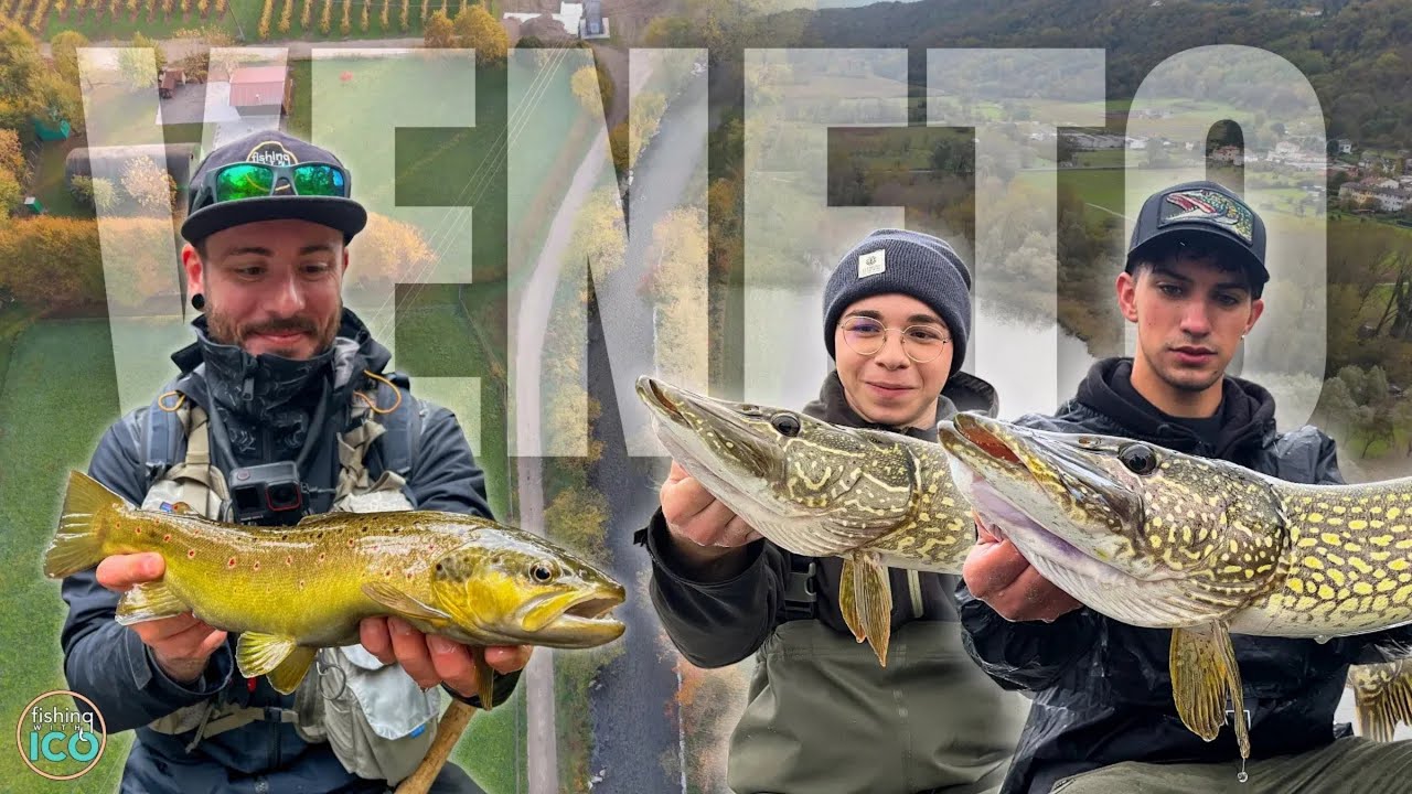 Dal TORRENTE al LAGO – CHIUSURA della TROTA SELVATICA e APERTURA del LUCCIO in un solo WEEKEND! (4K)