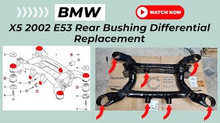 BMW X5 2002 E53 Rear Subframe & Differential Bushing Replacement