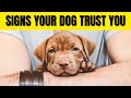 10 SIGNS YOUR DOG REALLY TRUSTS YOU