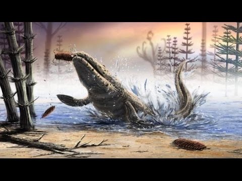 Tiktaalik roseae photos 1