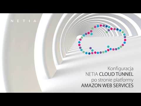 Netia B2B - Konfiguracja Netia Cloud Tunnel po stronie platformy Amazon Web Services