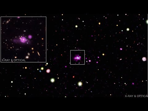 Feasting Black Holes Caught in Galactic Spiderweb