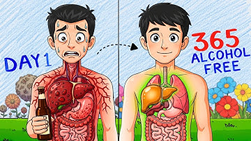 What Happens To Your Body & Mind When You Stop Drinking Alcohol