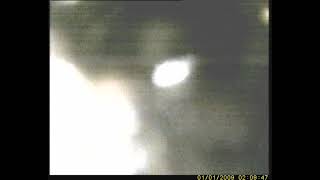 Drainmechanics 41113-W