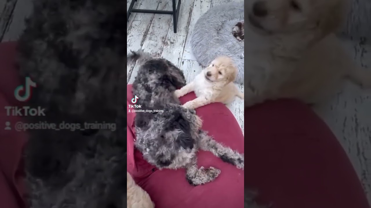 do you think she is ready to meet the family that would love her for ever?