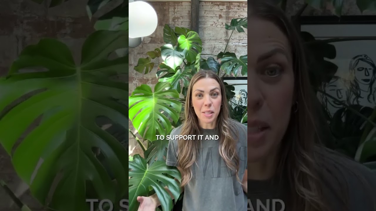 Monstera Aerial Root Hack