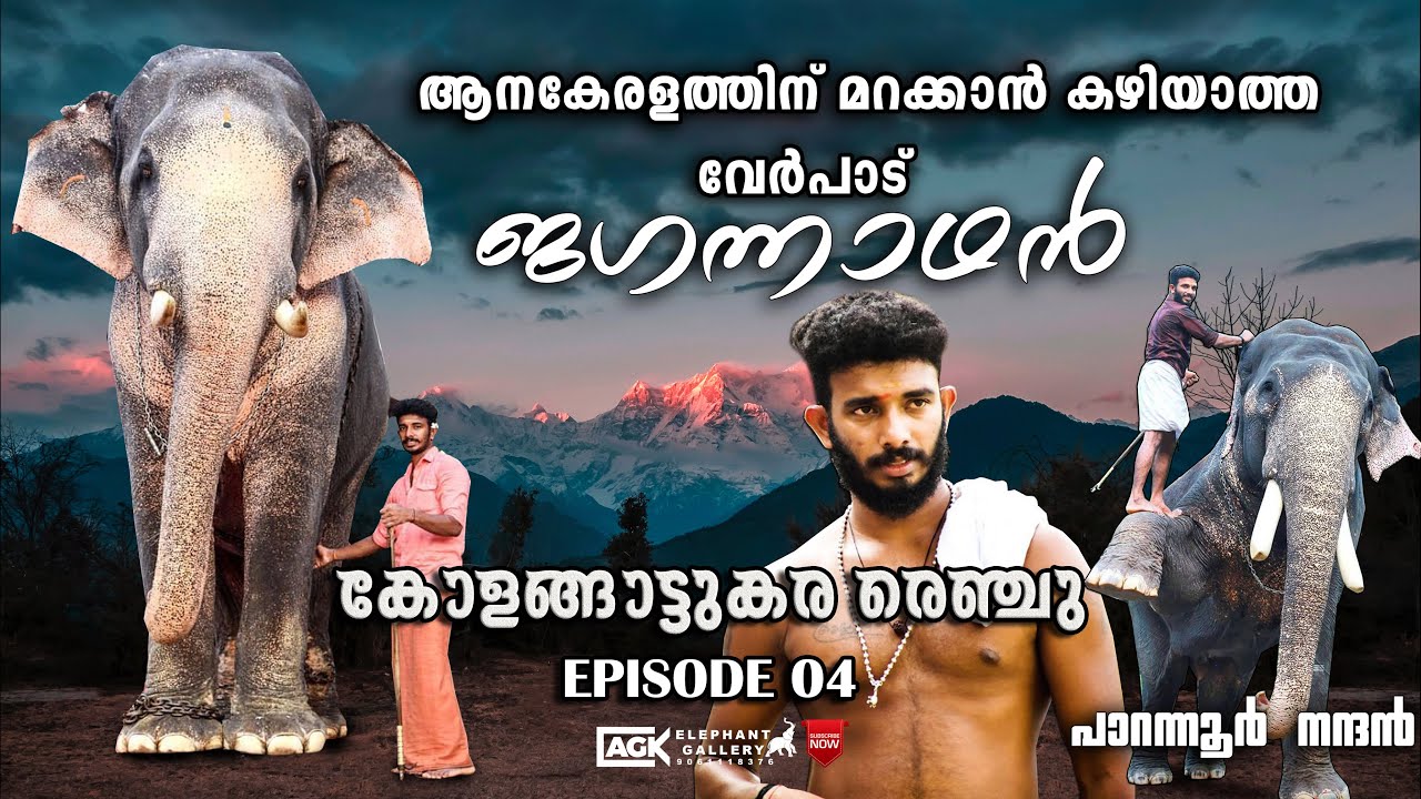 പൂരപ്പറമ്പിൽ ആവേശമായി മാറിയ ജഗ്ഗുവും തൃശൂരിന്റെ സ്വന്തം പാറന്നൂർ നന്തനും |കോളങ്ങാട്ടുകര രെഞ്ചു|