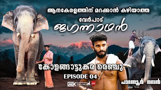 പൂരപ്പറമ്പിൽ ആവേശമായി മാറിയ ജഗ്ഗുവും തൃശൂരിന്റെ സ്വന്തം പാറന്നൂർ നന്തനും |കോളങ്ങാട്ടുകര രെഞ്ചു|