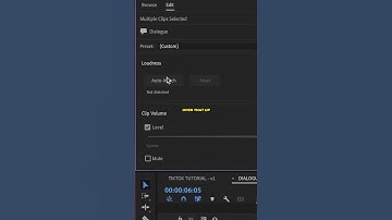 How To AUTO MATCH Audio Levels QUICK in PREMIERE PRO