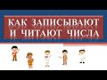 Как читают и записывают числа. Математика. 5 класс.