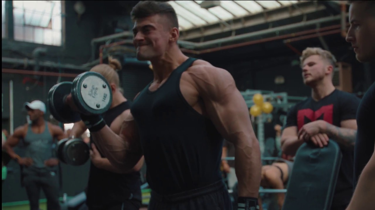 IFBB PRO JAMES HOLLINGSHEAD Kings Gym YouTube