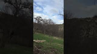 Saka , fanyata , ispinoz , bülbül ve bir çok kuşun doğada huzur veren sesleri