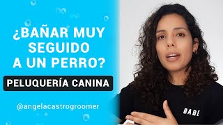 ¿Cada cuánto tiempo debo bañar a mi perro?