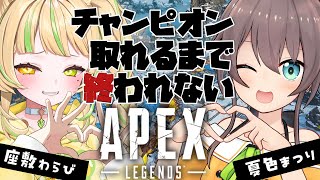 【チャンピオン耐久APEX 】夏色まつりパイセンと一緒にチャンピオン取って愛をはぐくむ！【 #座敷わらび /AiceClass】