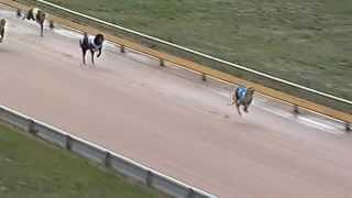 BAL MON 19 MAY 14 R1