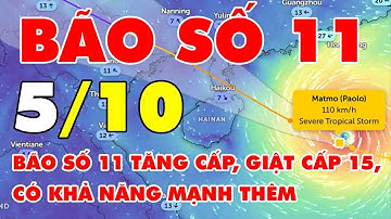 🆘 TIN BÃO MỚI NHẤT: Bão số 11 tăng cấp, giật cấp 15, có khả năng mạnh thêm