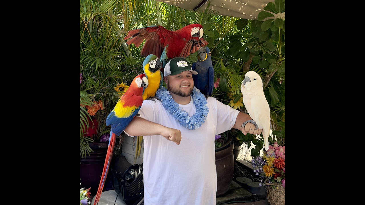 TEKKEN 8 AM I A BOT?