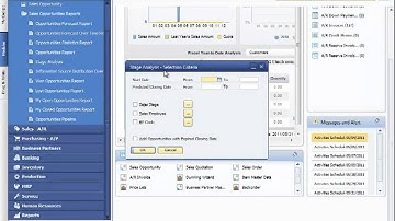 SAP Business One CRM Demo