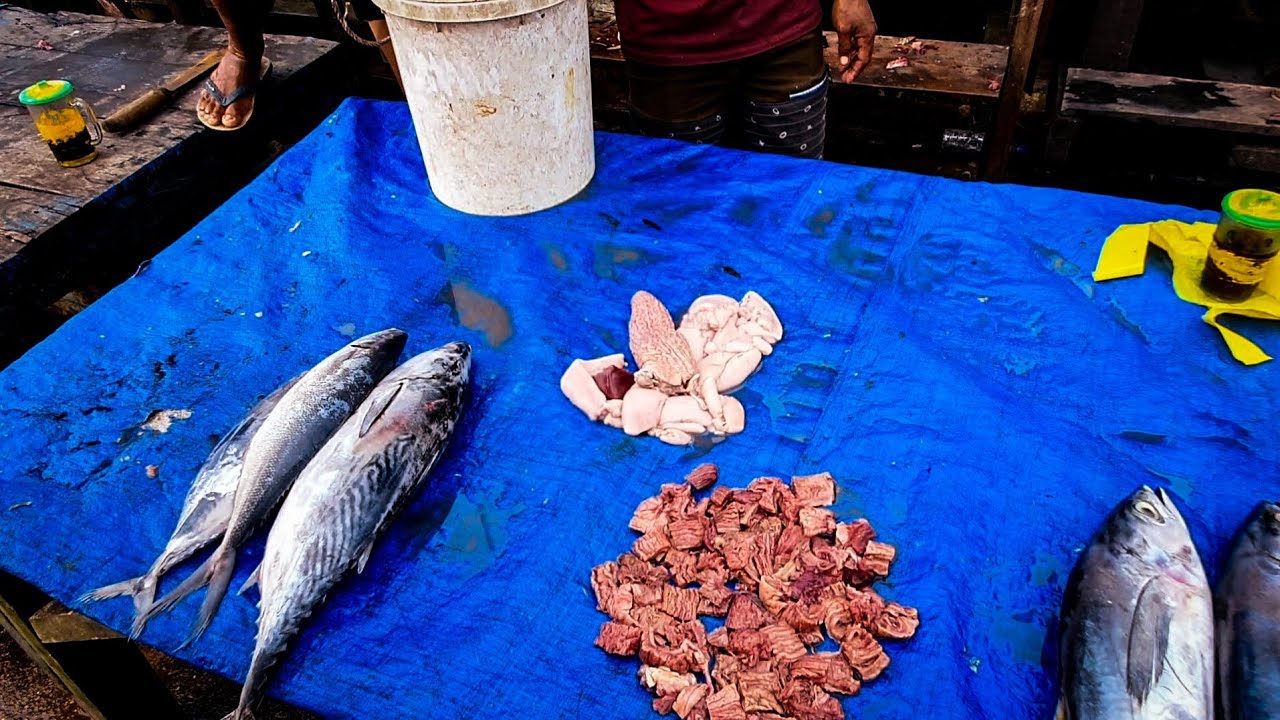 Papua Steet Food buy fish eggs YouTube