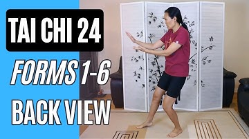 Tai Chi 24, Forms 1-6 Up to Roll Back the Forearms in Back View