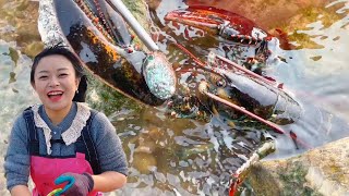 [ENG SUB] Xiao Zhang rushed to the sea  and the big lobster was caught with its teeth and claws. Se