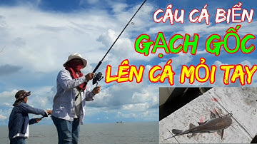 CÂU CÁ BIỂN GẠCH GỐC  CÂU CÁ HƯỜNG ĐÉM, CÁ VỒ CHÓ/CÁ VỒ BIỂN, CÁ NGÁT @giangngofising