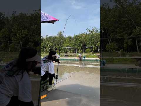 Câu cá bằng phao hố đấu #vyhanfishing #cauca #fishing #câucá
