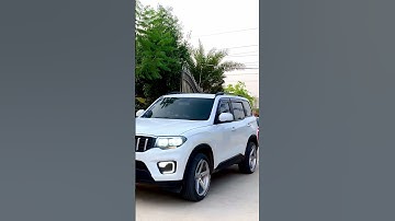 Modify guardian🚘 #4kvideo #shortsvideo #scorpion #modified #swift #i20 #car #sidhumoosewala #song