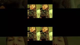 El número uno para transmutar energías negativas: un gato #amor #gatos