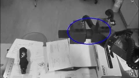 Body Schema Learning by Visual Consistency