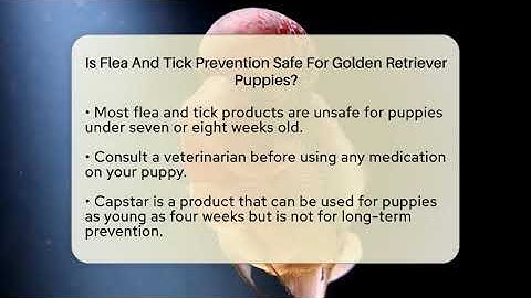 Is Flea And Tick Prevention Safe For Golden Retriever Puppies? - PetGuide360.com