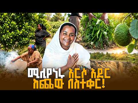 የዘመናዊ ግብርና ተአምር፦ በሚሊዮኖች የሚቆጠር ገቢ የሚያስገኘው የቱፋ አለሙ ቤተሰብ ድንቅ እርሻ | ውሎ አዳር