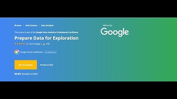 Prepare Data for ExplorationGoogle |data analytics professional certificate excel data analysis tool