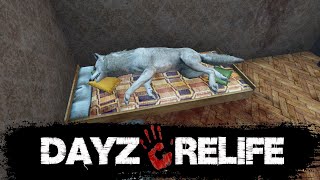 DayZ RELIFE [HardPVE+] 🔴ОТДЫХ НА БЕРЕГУ МОРЯ🔴STREAM🔴