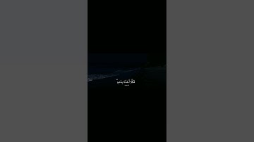 وقارون وفرعون/سوره العنكبوت الشيخ عبد الرحمن مسعد/الايه39/اكتب شيء تؤجر عليه🤍