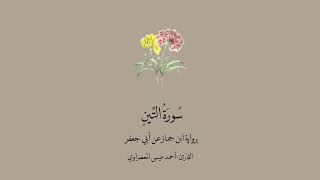 سورة التين برواية ابن جماز عن أبي جعفر || القارئ : أحمد عيسى المعصراوي.