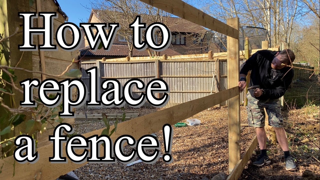 КАК ЗАМЕНИТЬ СТАРЫЙ ЗАБОР ИЗ ПЕРЬЕВОЙ КОРОНКИ