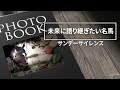 未来に語り継ぎたい名馬 Vol.7　サンデーサイレンス　【ドキュメンタリー】