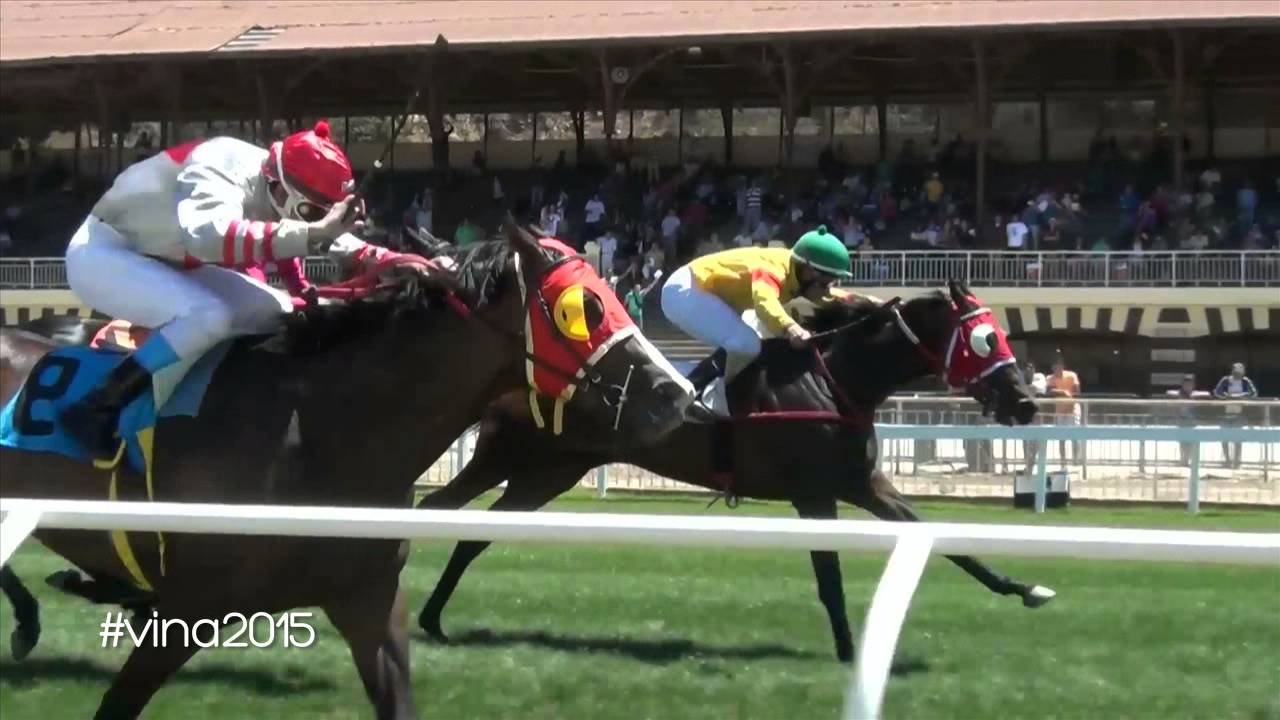 Spot Festival Internacional de Viña del Mar 2015