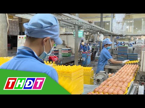 Video Bộ Tài chính: Đề xuất miễn thuế hàng hóa khắc phục hậu... - youtube