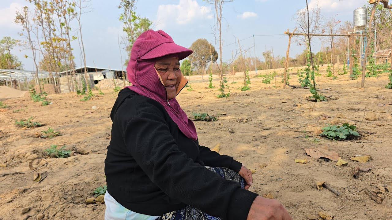 ยายแปเปีดใจเว้าเรื่องอี่สีแล่นสิตีพ่อไห้ฟังไปขายสาลีเด็กน้อยแล่นหนีชวดเขาว่าบ้า