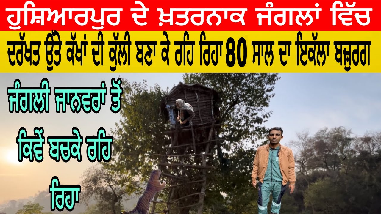 ਹੁਸ਼ਿਆਰਪੁਰ ਦੇ ਖ਼ਤਰਨਾਕ ਜੰਗਲਾਂ ਵਿੱਚ ਦਰੱਖਤ ਉੱਤੇ ਕੱਖਾਂ ਦੀ ਕੁੱਲੀ ਬਣਾ ਕੇ ਰਹਿੰਦਾ 80 ਸਾਲ ਦਾ ਇਕੱਲਾ ਬਜ਼ੁਰਗ