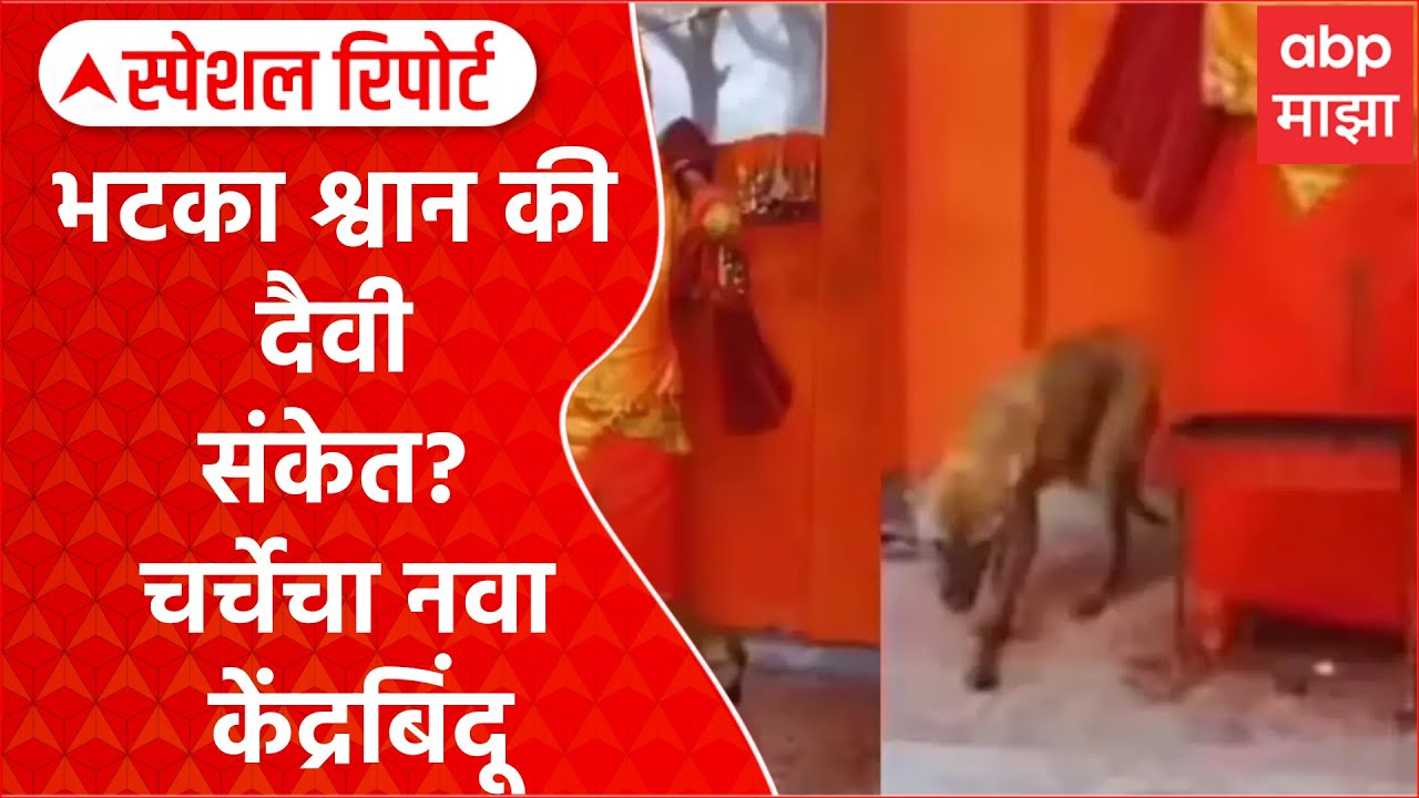 Bijnor Dog Viral Video : भटका श्वान की दैवी संकेत? चर्चेचा नवा केंद्रबिंदू Special Report