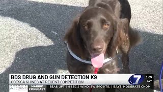 BDS drug and gun detection K9