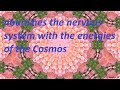 Nourishes the nervous system with the energies of the cosmossession53