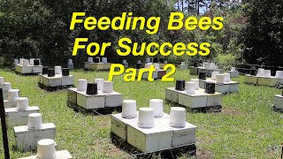 The Chemistry Behind Feeding Bees Part 2